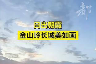 ?裁判公司赛后称厄德高不是手球，如今改口承认误判……